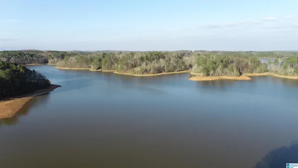 $399,000 | 5 A Fox Crk Trace, Unit 5A, Lineville, AL 36266