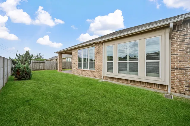 a view of a backyard with plants and large trees