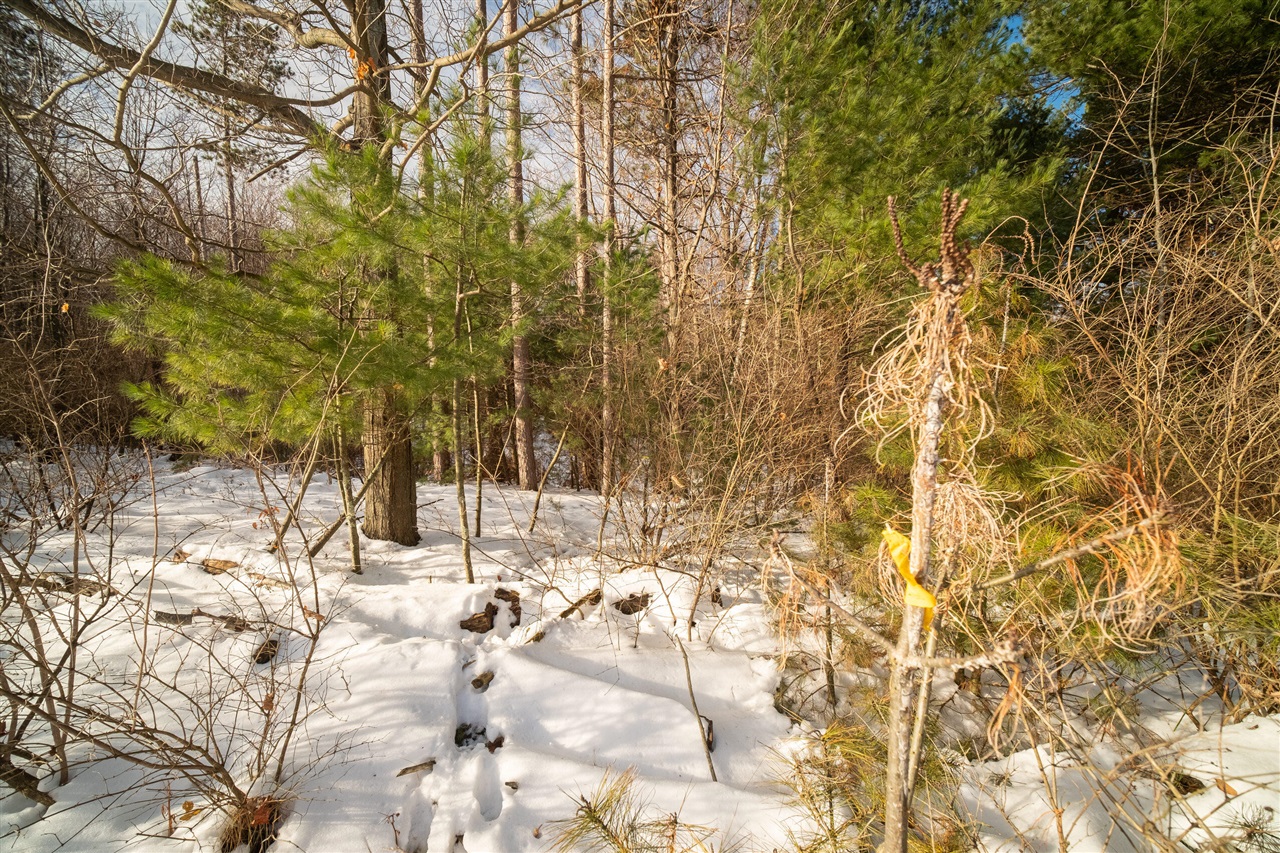 0 Erdman Road Onekama, MI 49675 - Photo 51 of 69 Gallery Image 51
