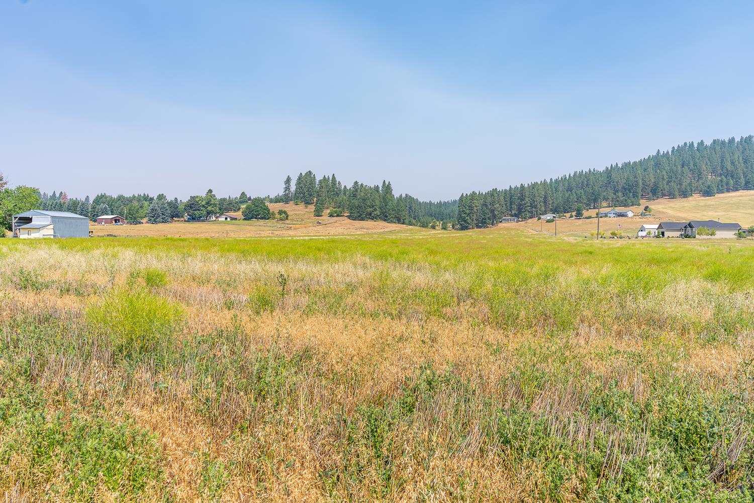 0 East Big Meadows Road Chattaroy, WA 99003 - Photo 4 of 16