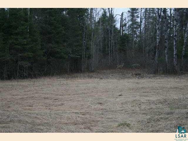 2001 Highway 73 Cook, MN 55723 - Photo 2 of 6 Gallery Image 2