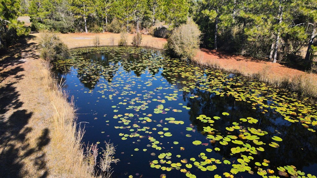 1927 Lighthouse Road Carrabelle, FL 32322 - Photo 12 of 19 Gallery Image 12