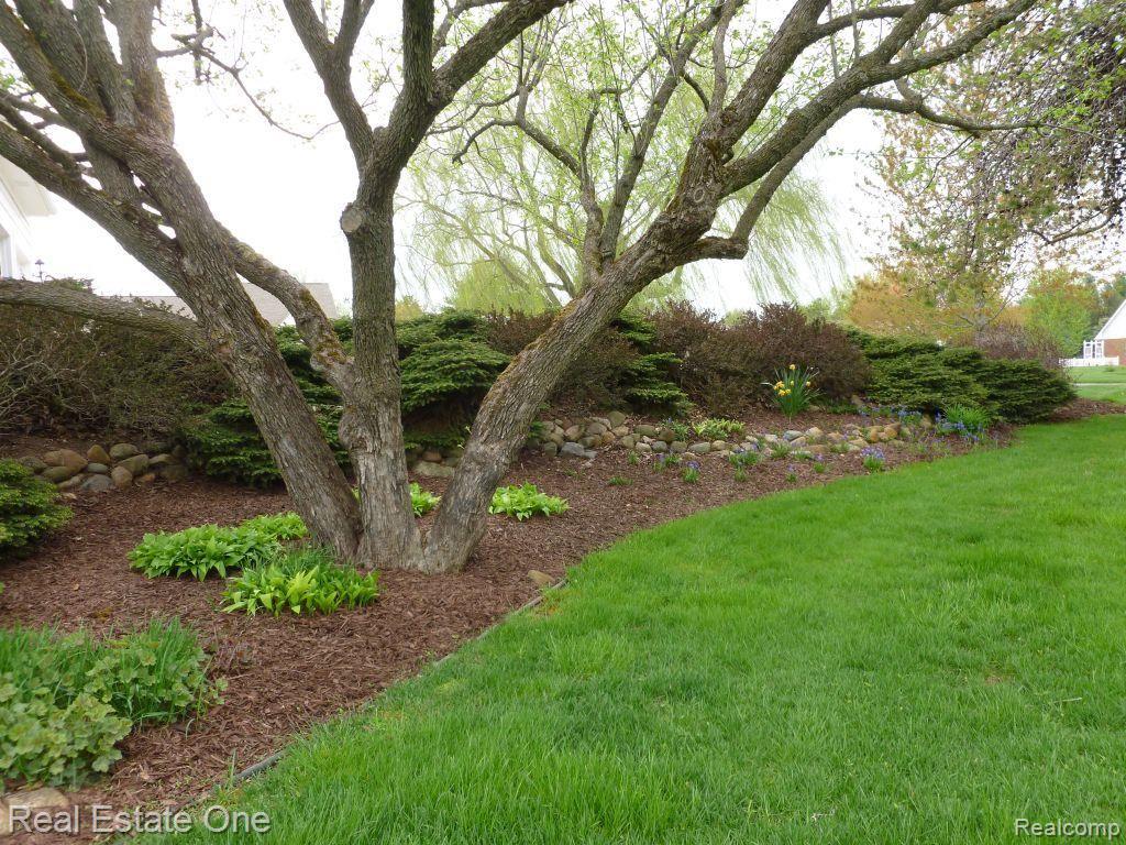 3243 Landview Drive Rochester, MI 48306 - Photo 41 of 41 Nice Landscaping