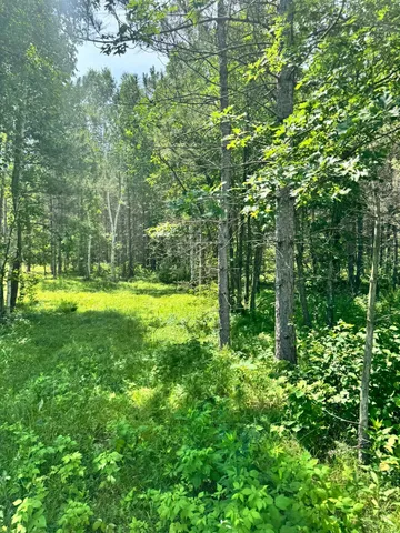 $59,900 | Tbd4 Tbd4 Destination Drive, Nevis, MN 56467