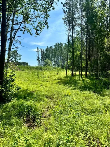 $59,900 | Tbd4 Tbd4 Destination Drive, Nevis, MN 56467
