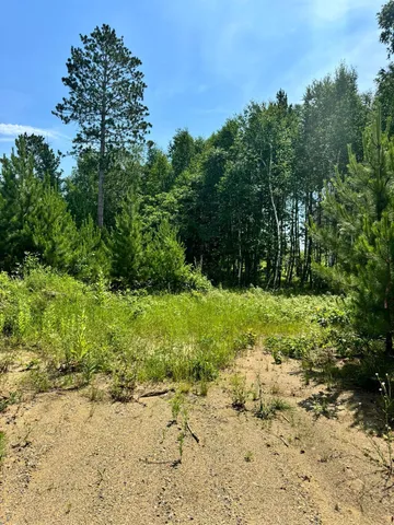 $59,900 | Tbd4 Tbd4 Destination Drive, Nevis, MN 56467