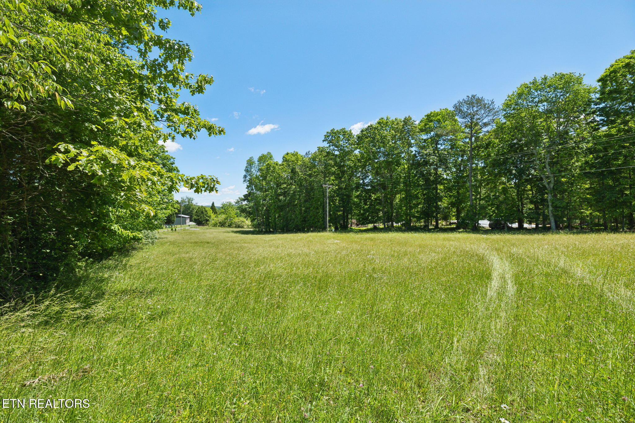 1460 Big Neck Road Grandview, TN 37337 - Photo 6 of 32 Rolling Fields