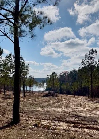 $275,000 | 64 Kisatchie (lot2) Lane, Boyce, LA 71409