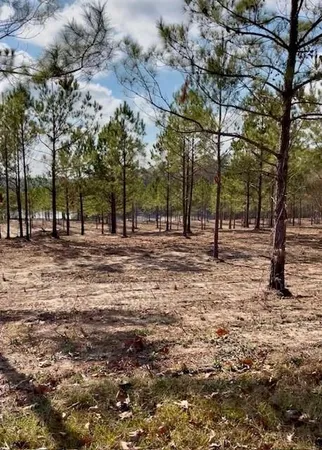$275,000 | 64 Kisatchie (lot2) Lane, Boyce, LA 71409
