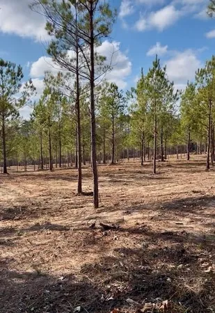 $275,000 | 64 Kisatchie (lot2) Lane, Boyce, LA 71409