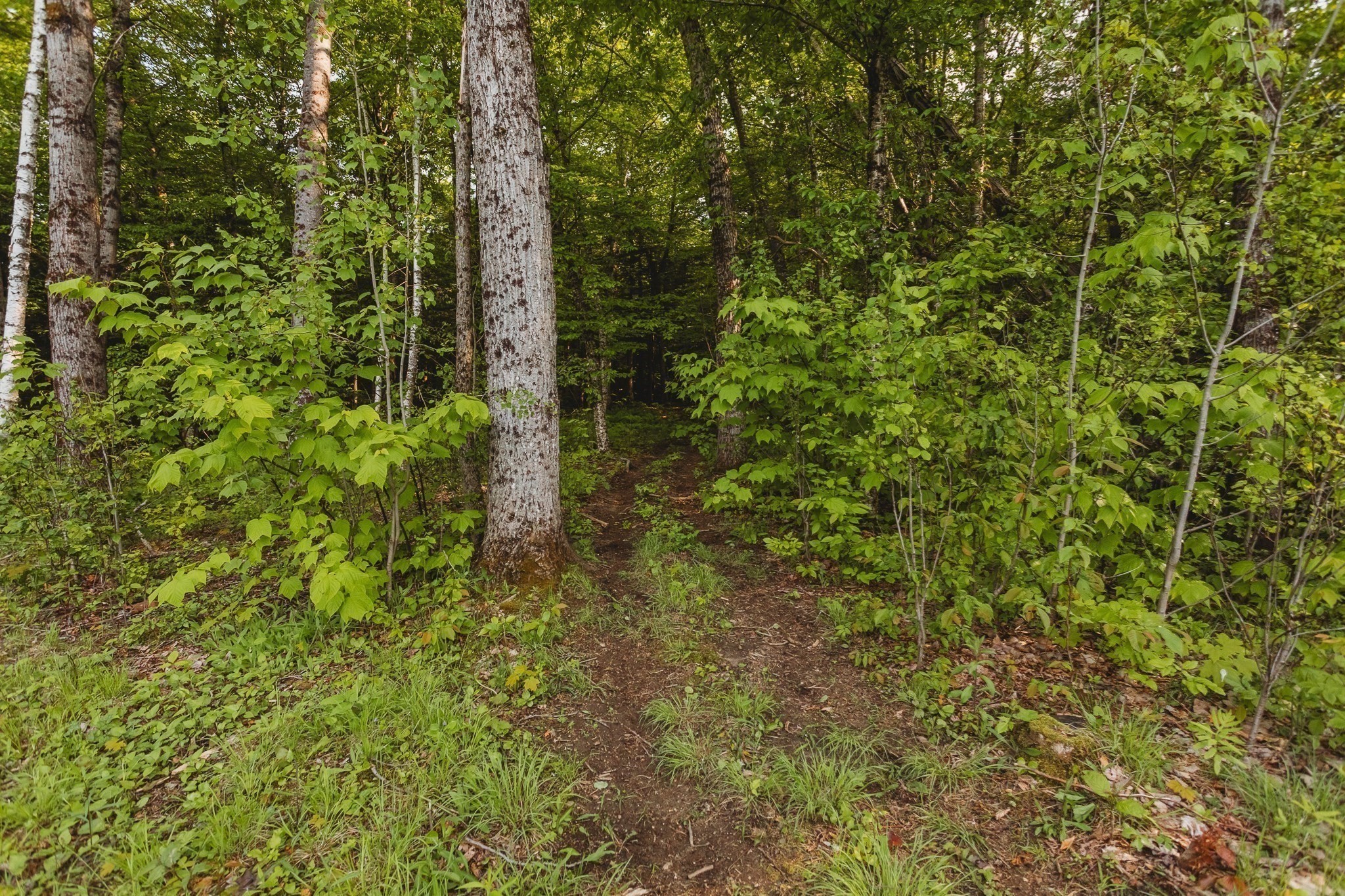 230 Wilson Hill Road Colrain, MA 01340 - Photo 13 of 17 Gallery Image 13