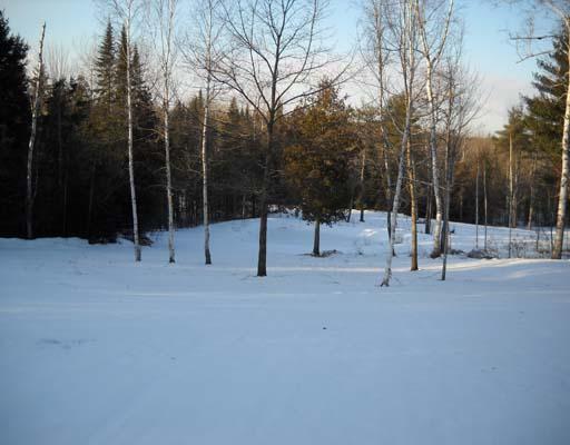 648 Lower Detroit Road Plymouth, ME 04969 - Photo 14 of 19 Land/Lot.