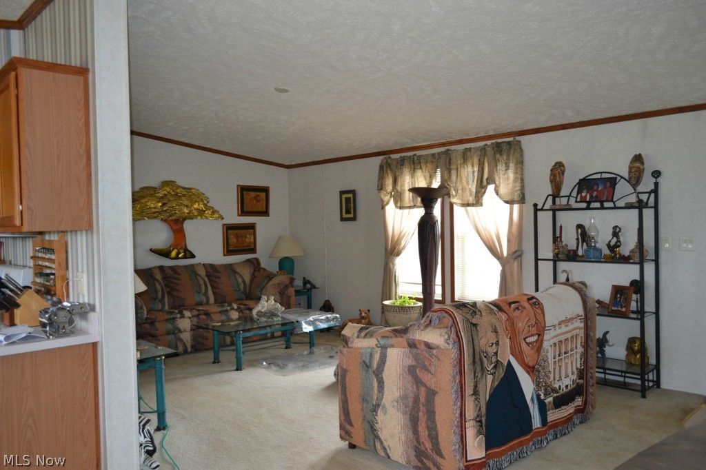 6232 Pronto Road Southeast Amsterdam, OH 43903 - Photo 4 of 12 Gallery Image 4