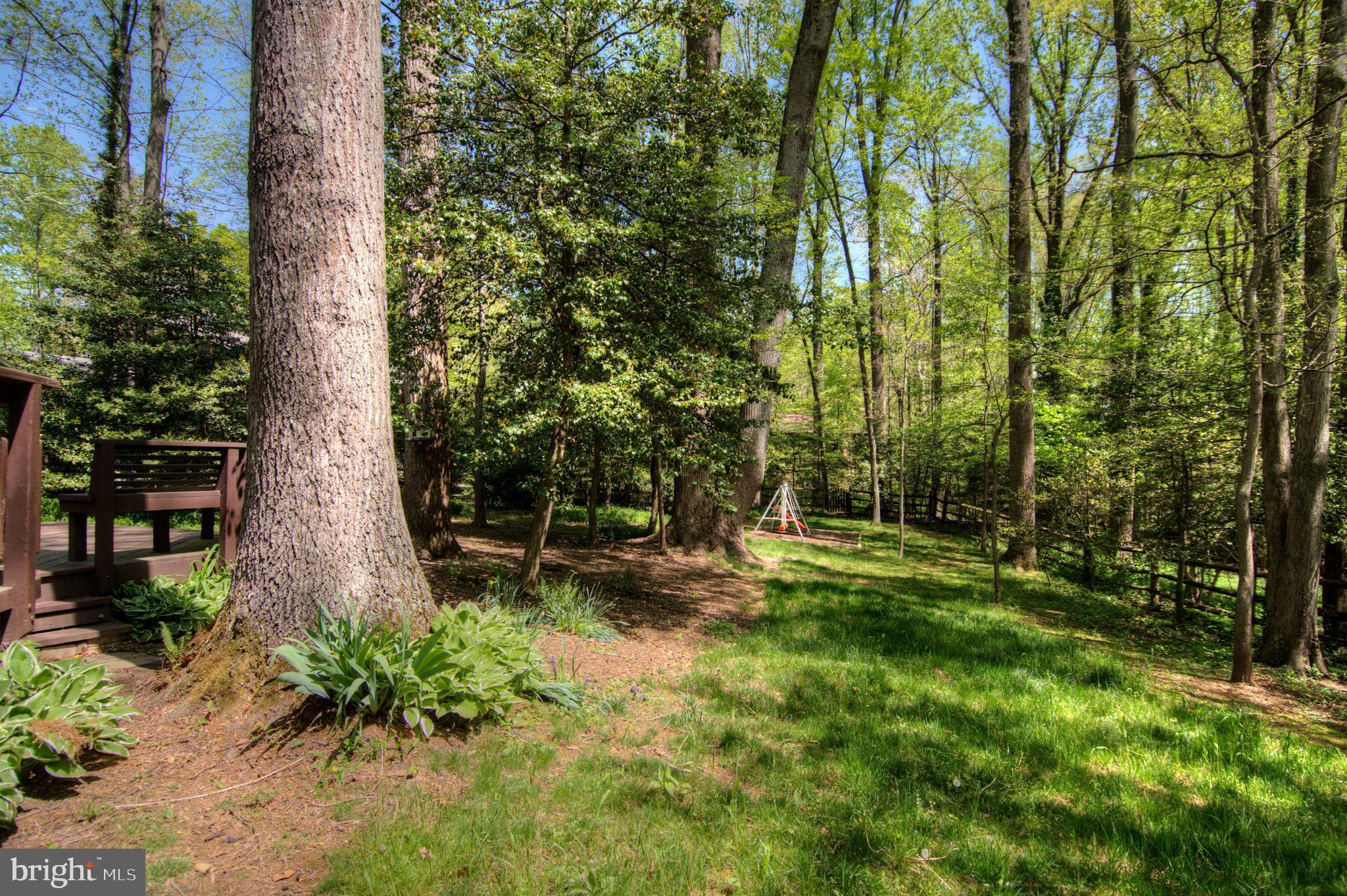 2305 Short Ridge Road Reston, VA 20191 - Photo 23 of 23