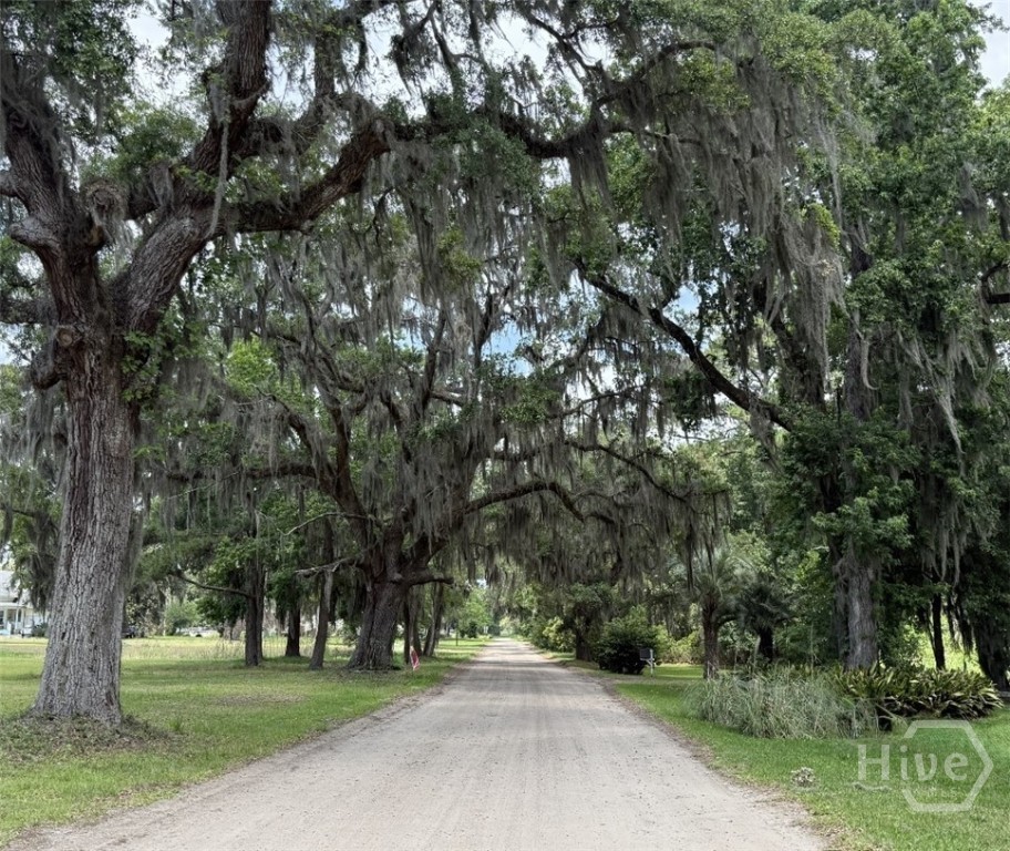 45 Dutchman's Cove Road Midway, GA 31320 - Photo 66 of 68