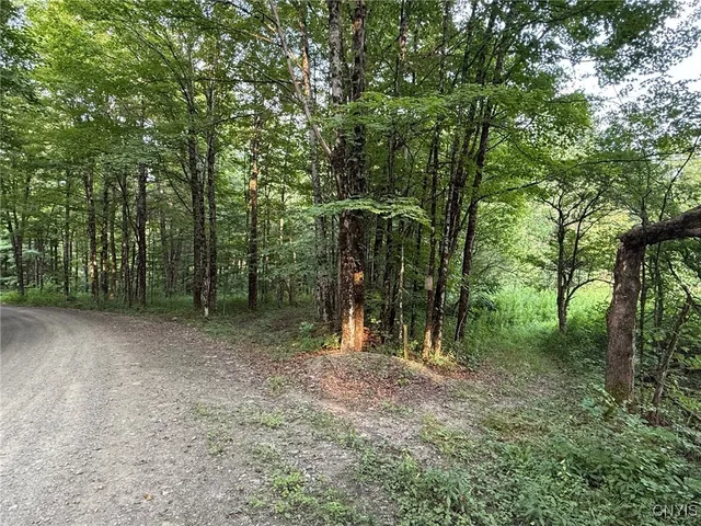 $159,900 | Dutch Hill Road, Cincinnatus, NY 13040