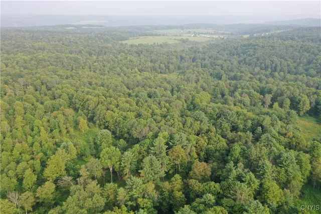 $159,900 | Dutch Hill Road, Cincinnatus, NY 13040