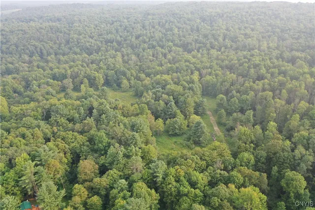 $159,900 | Dutch Hill Road, Cincinnatus, NY 13040