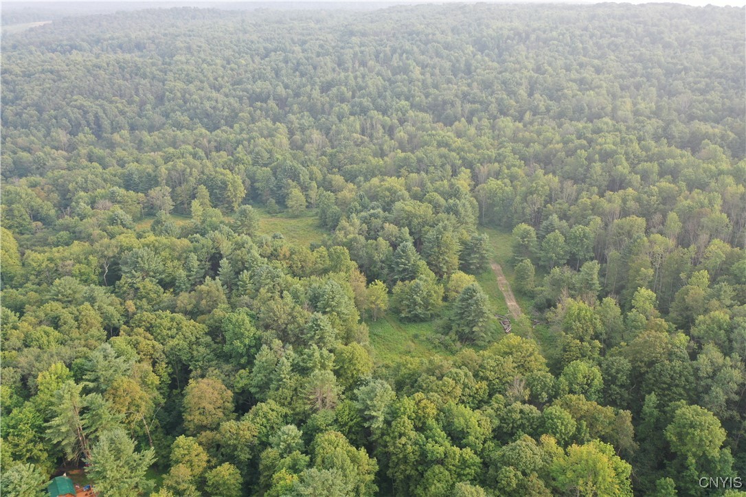 Dutch Hill Road Cincinnatus, NY 13040 - Photo 5 of 10