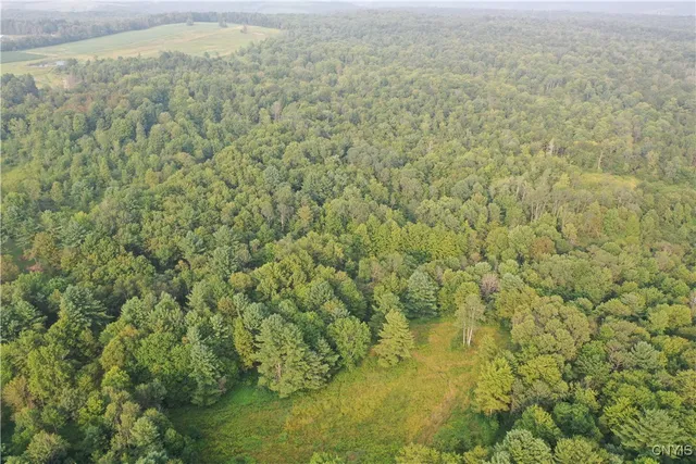 $159,900 | Dutch Hill Road, Cincinnatus, NY 13040