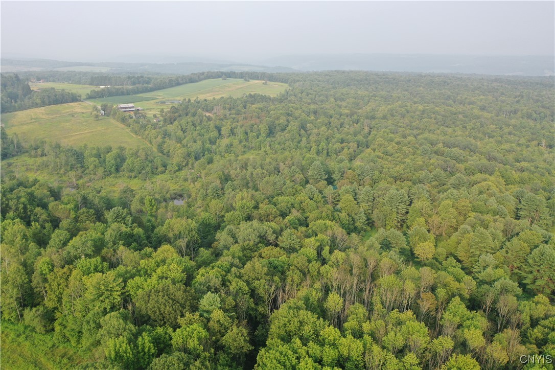 Dutch Hill Road Cincinnatus, NY 13040 - Photo 7 of 10