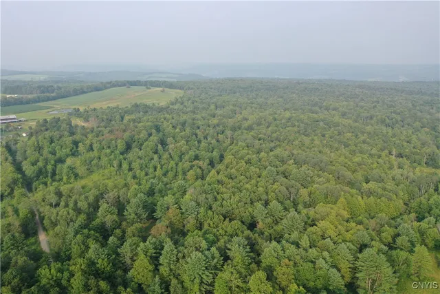 $159,900 | Dutch Hill Road, Cincinnatus, NY 13040