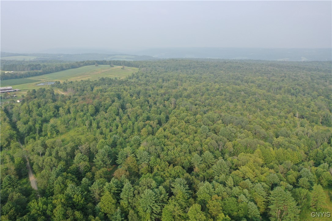 Dutch Hill Road Cincinnatus, NY 13040 - Photo 8 of 10