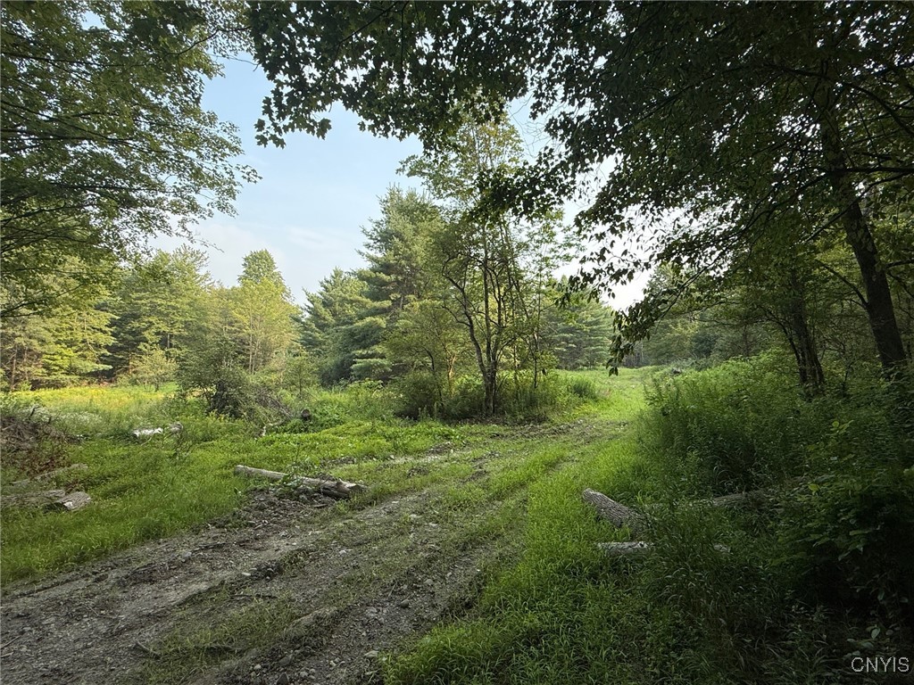 Dutch Hill Road Cincinnatus, NY 13040 - Photo 9 of 10