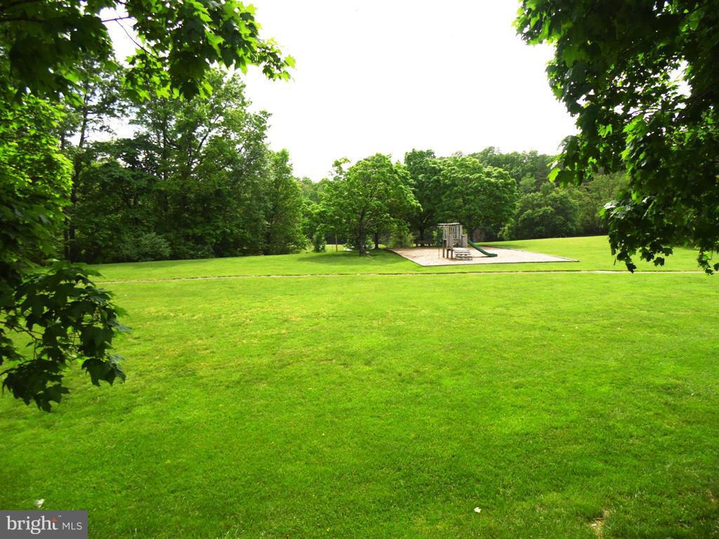 7765 Euclid Way Springfield, VA 22153 - Photo 23 of 30 Park setting behind the house