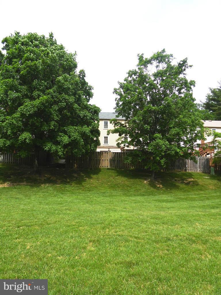7765 Euclid Way Springfield, VA 22153 - Photo 25 of 30 View from the park to the house