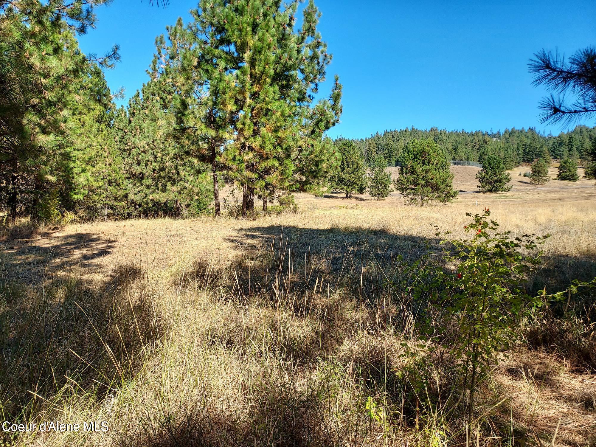 13534 South Ridgeview Drive Harrison, ID 83833 - Photo 12 of 25 Property10