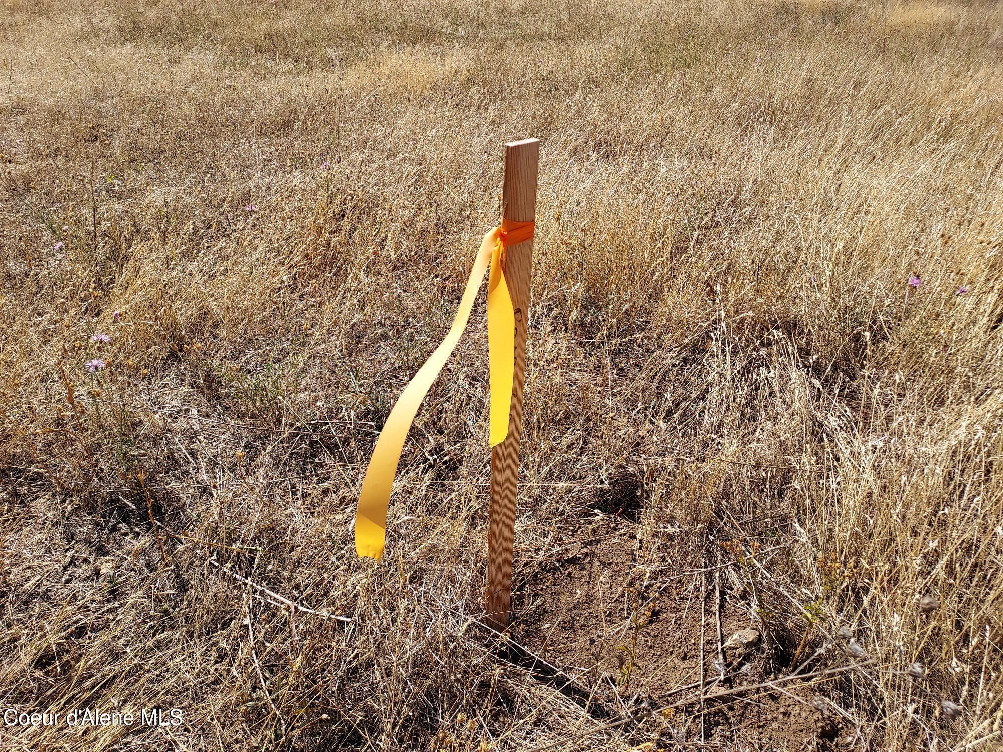 13534 South Ridgeview Drive Harrison, ID 83833 - Photo 17 of 25 CornerMarker