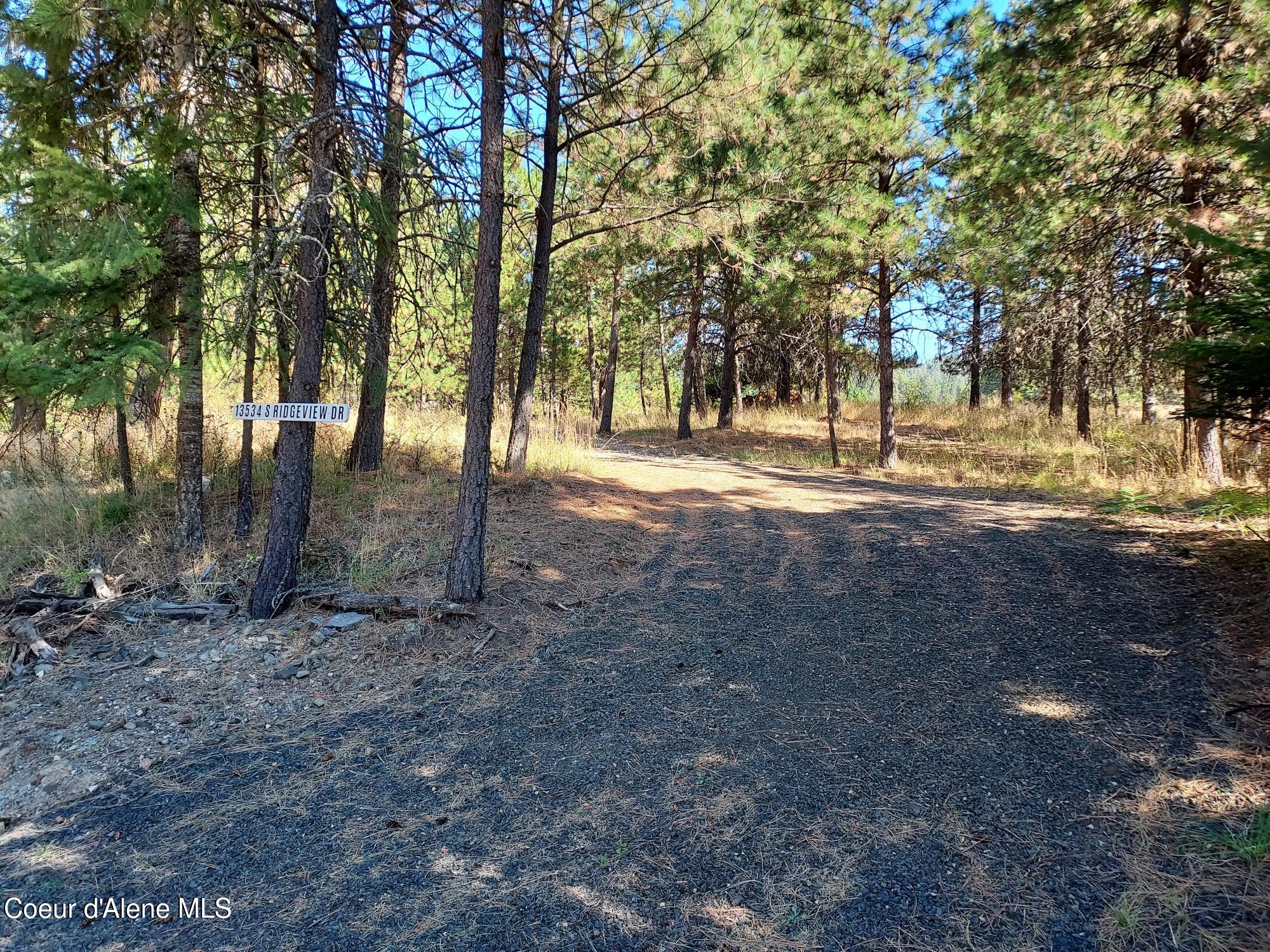 13534 South Ridgeview Drive Harrison, ID 83833 - Photo 2 of 25 Driveway