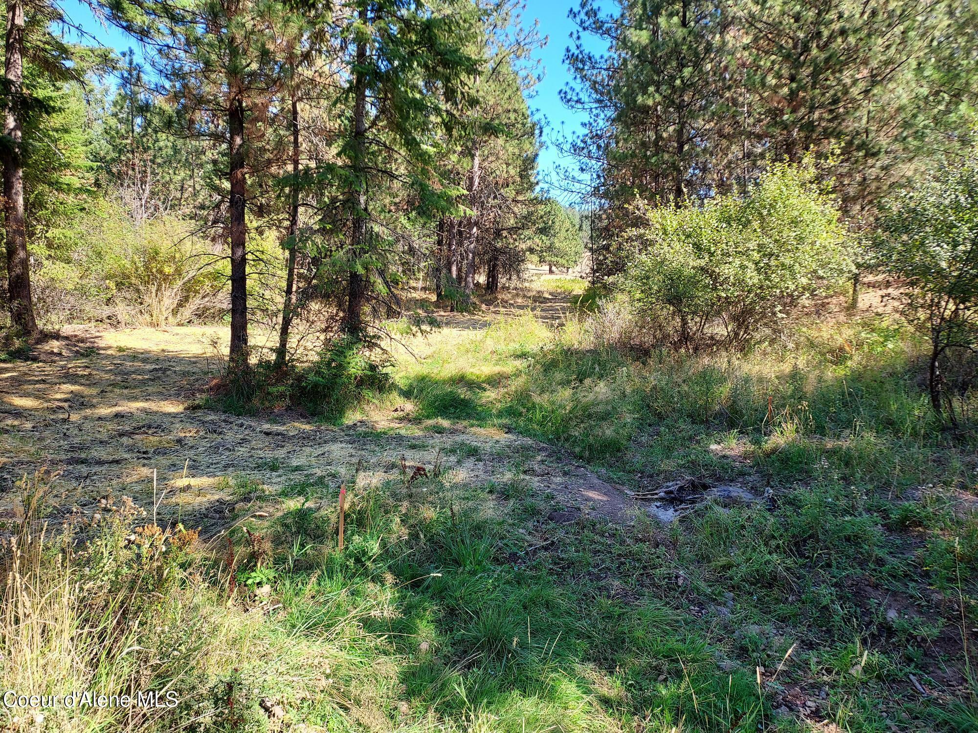 13534 South Ridgeview Drive Harrison, ID 83833 - Photo 21 of 25 Property2