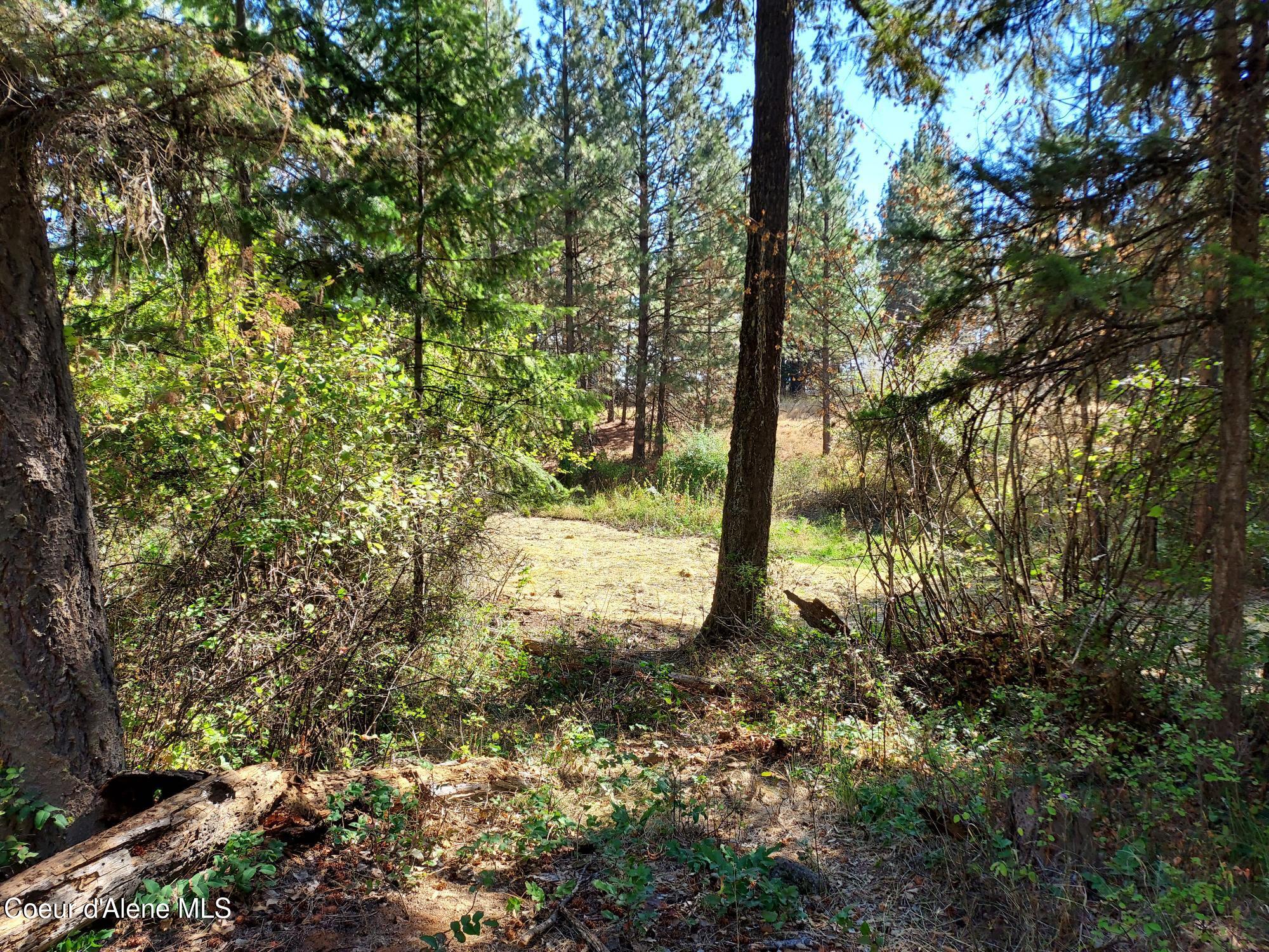 13534 South Ridgeview Drive Harrison, ID 83833 - Photo 22 of 25 Property3