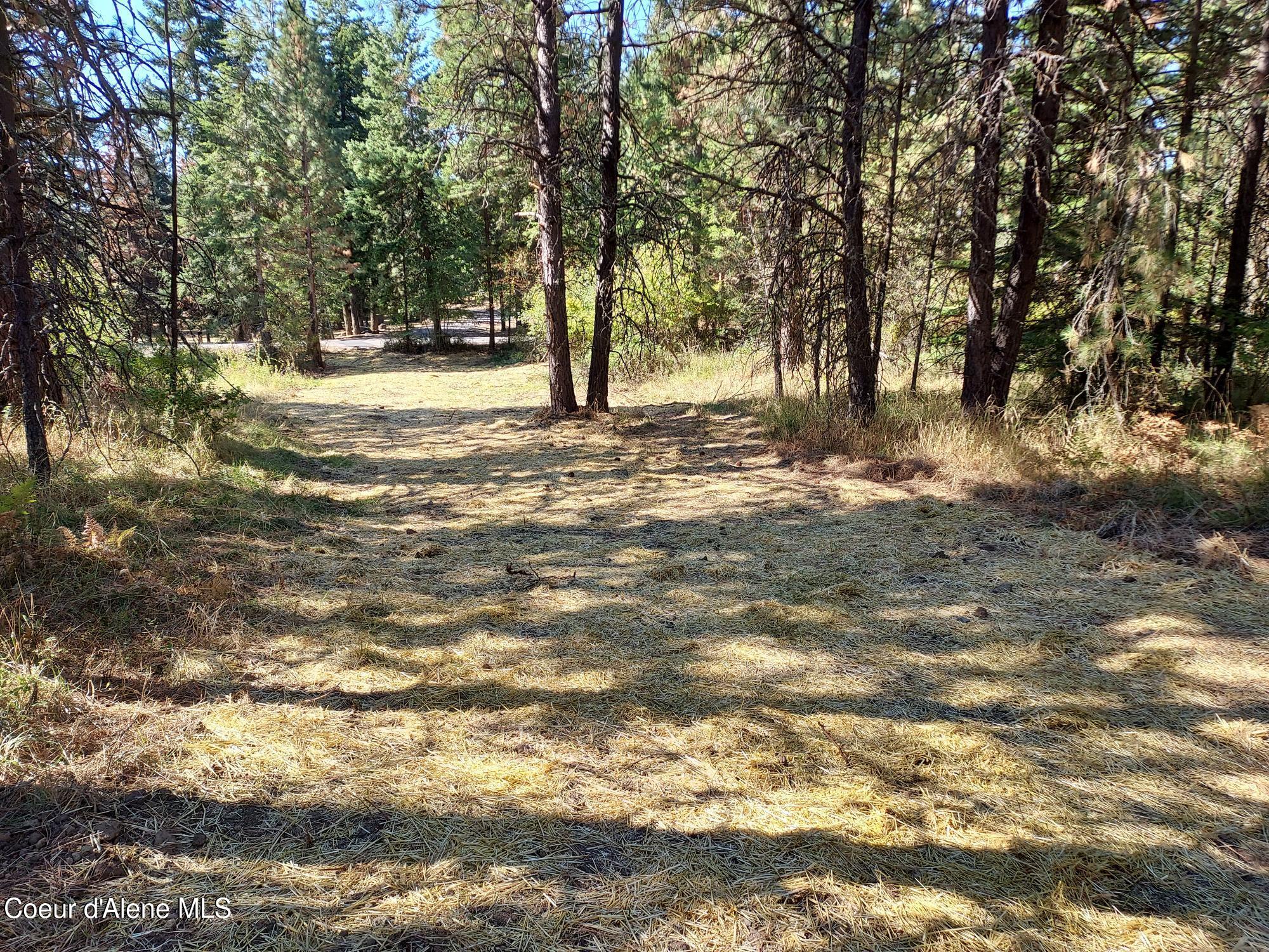 13534 South Ridgeview Drive Harrison, ID 83833 - Photo 24 of 25 Property13