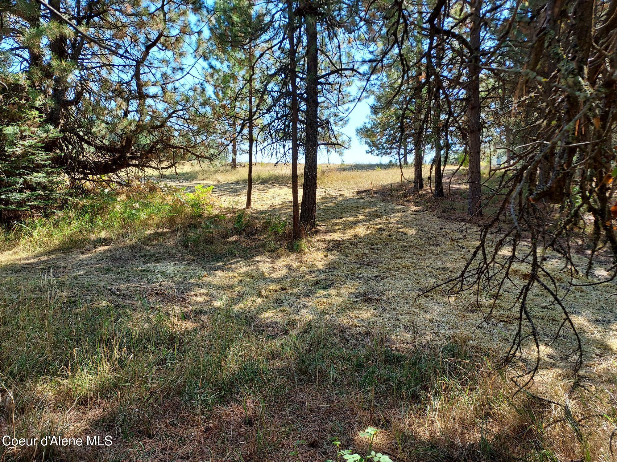 13534 South Ridgeview Drive Harrison, ID 83833 - Photo 4 of 25 Property14