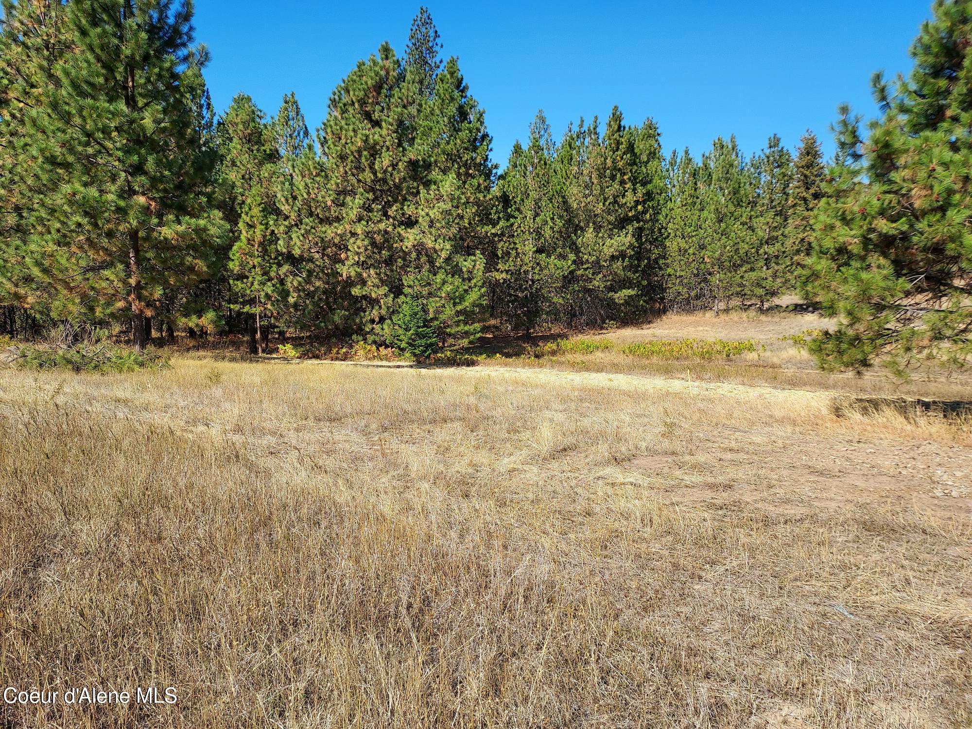 13534 South Ridgeview Drive Harrison, ID 83833 - Photo 5 of 25 Property7