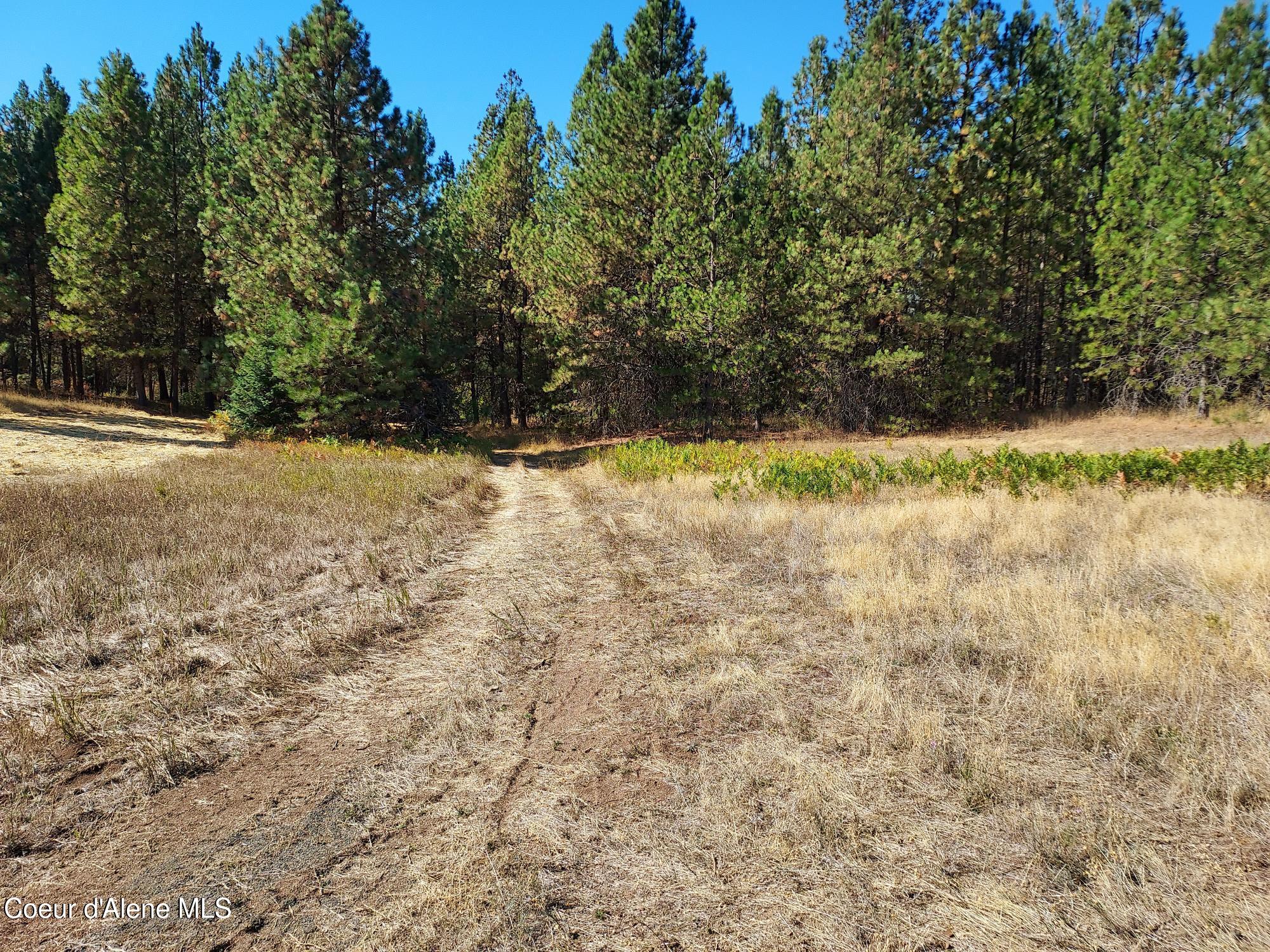13534 South Ridgeview Drive Harrison, ID 83833 - Photo 6 of 25 Property6