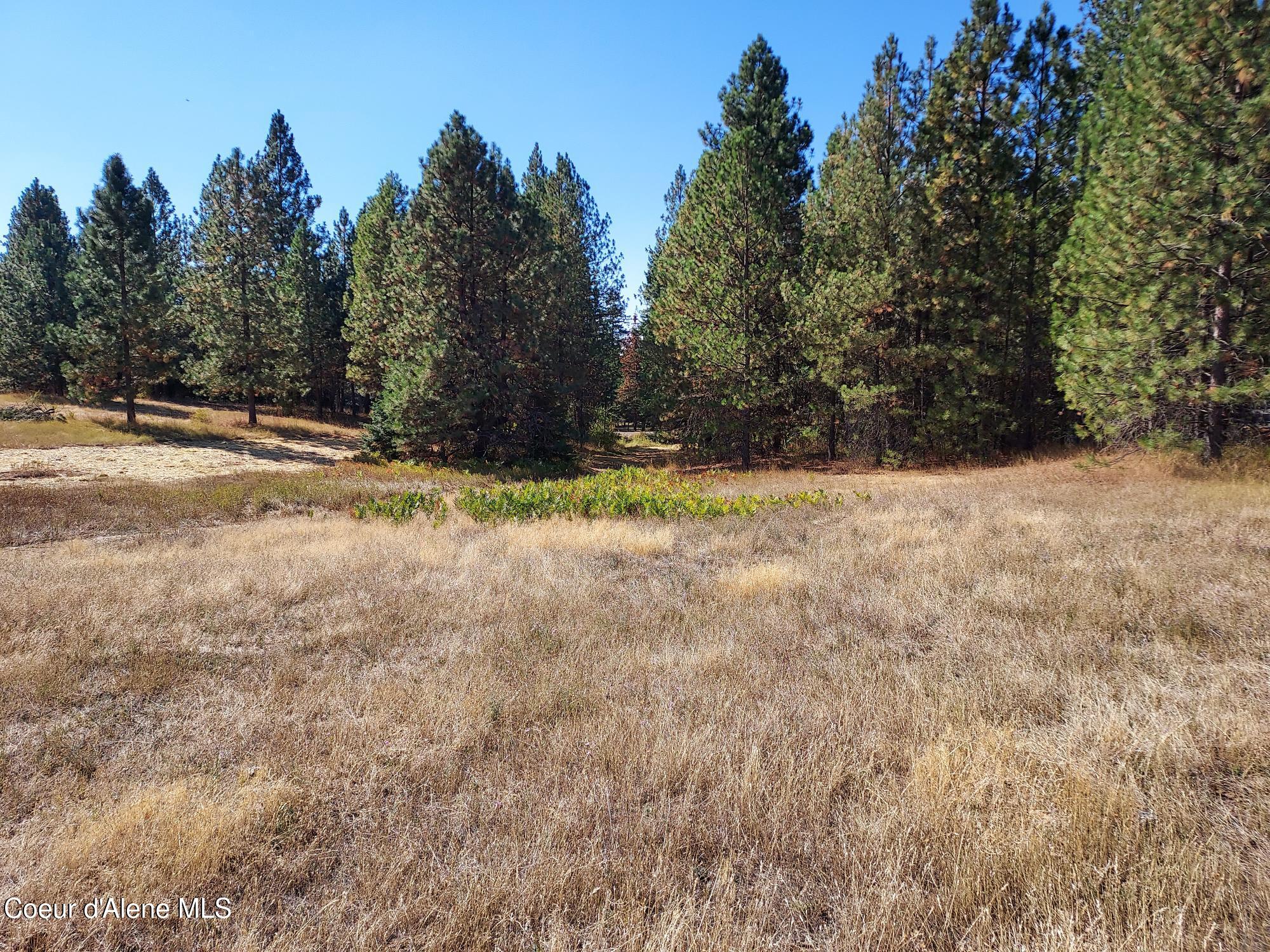 13534 South Ridgeview Drive Harrison, ID 83833 - Photo 7 of 25 Property5
