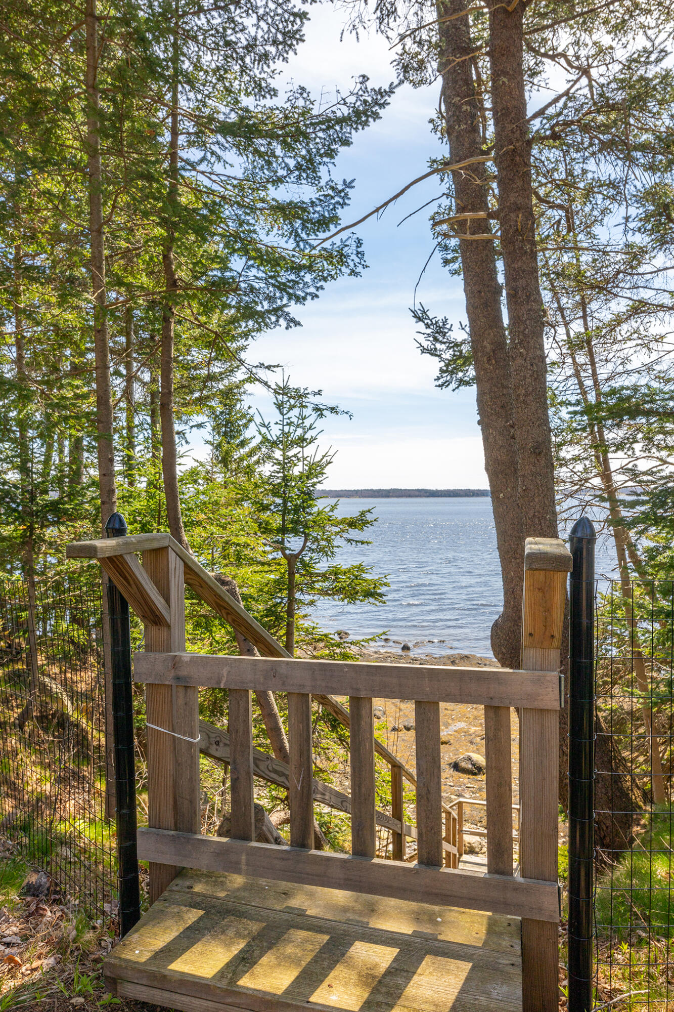 41 Lighthouse Road Stockton Springs, ME 04981 - Photo 47 of 69 IMG_0733