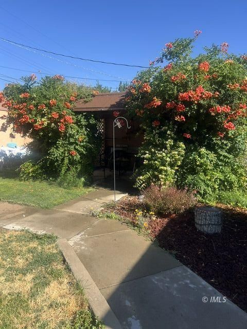 103 North Clay Street Independence, CA 93526 - Photo 22 of 25 a view of a backyard of the house