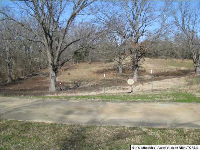 7082 Arkabutla Road Coldwater, MS 38618 - Photo 10 of 10 Additional Photo