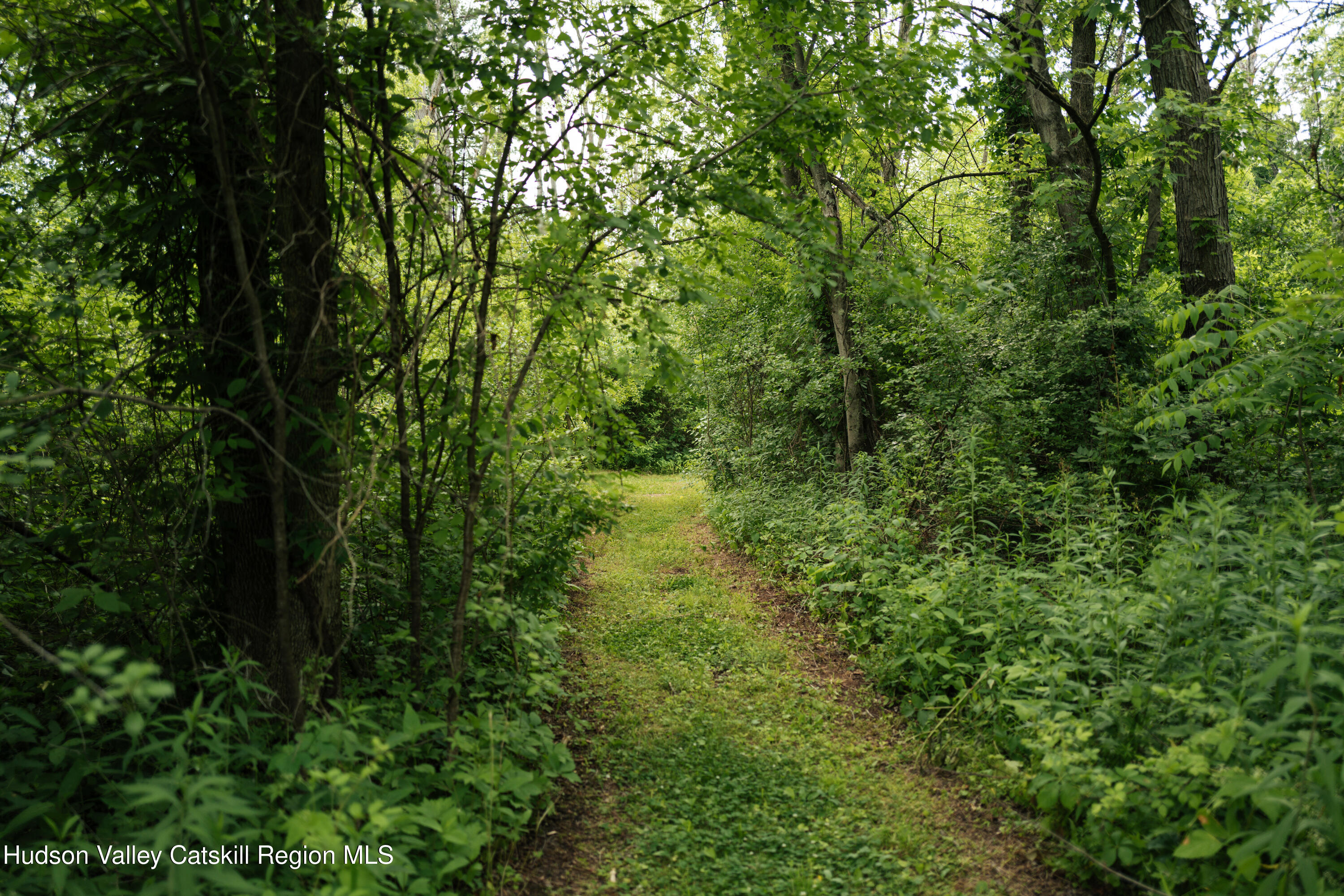 124 Footbridge Rd Extension Hudson, NY 12534 - Photo 47 of 52 24-Footbridge-Rd-Stockport-NY-Catskill-I