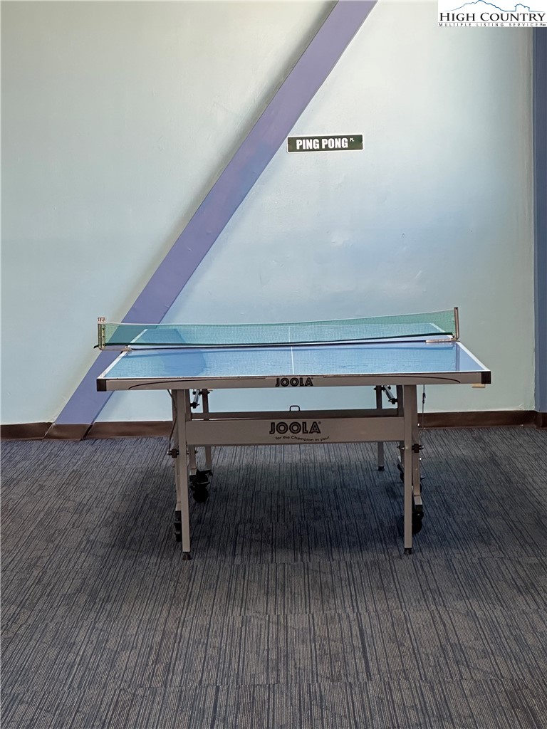 301 Pinnacle Inn Road, Unit 4208 Beech Mountain, NC 28604 - Photo 22 of 24