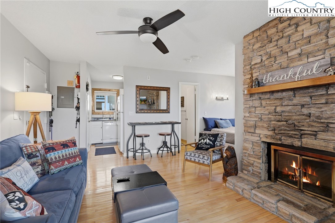 301 Pinnacle Inn Road, Unit 4208 Beech Mountain, NC 28604 - Photo 7 of 24