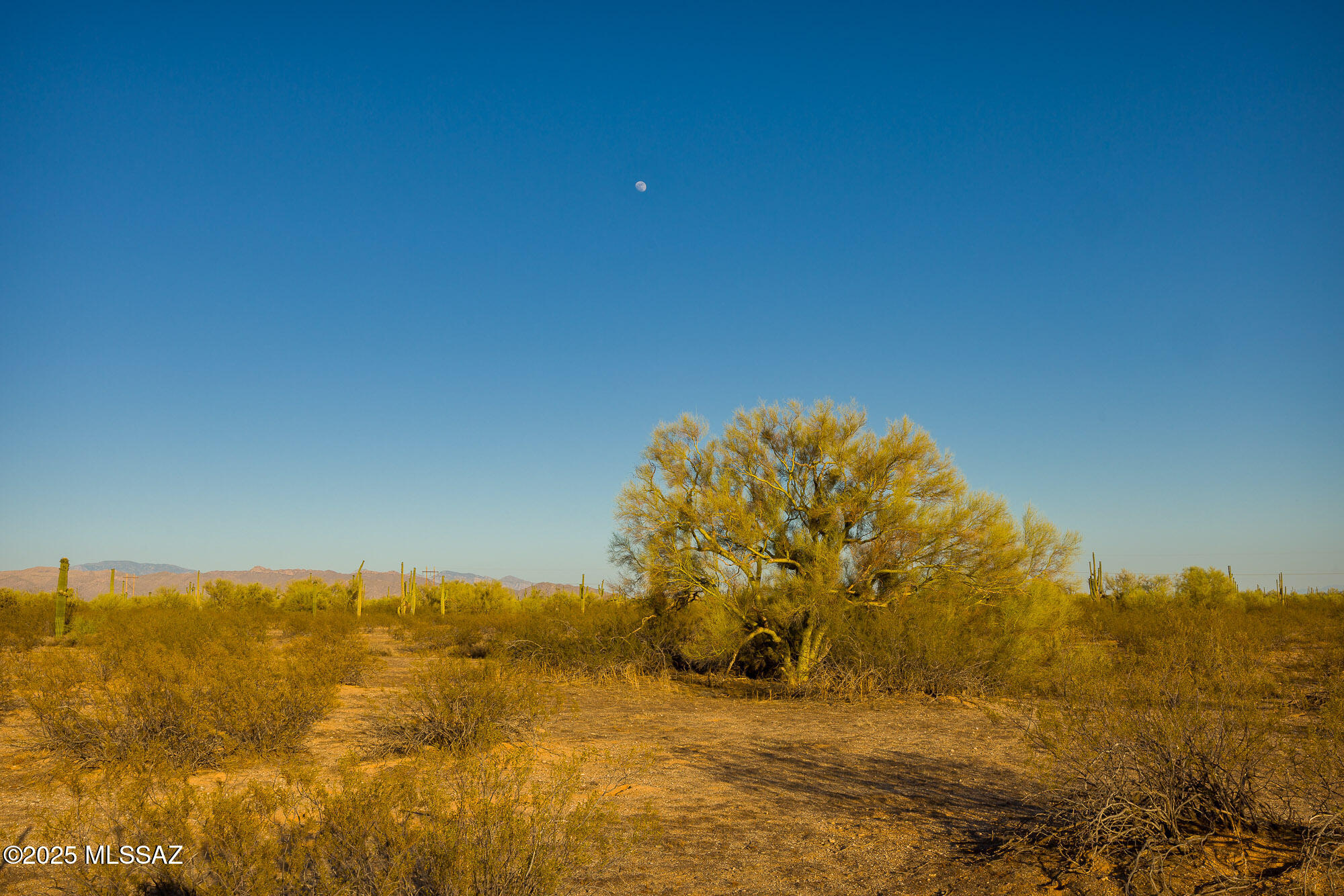 30501 Goodman Ranch Road Marana, AZ 85658 - Photo 43 of 48 Gallery Image 43