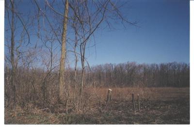 8474 Struble Road Jerome, MI 49249 - Photo 1 of 1 Primary Photo
