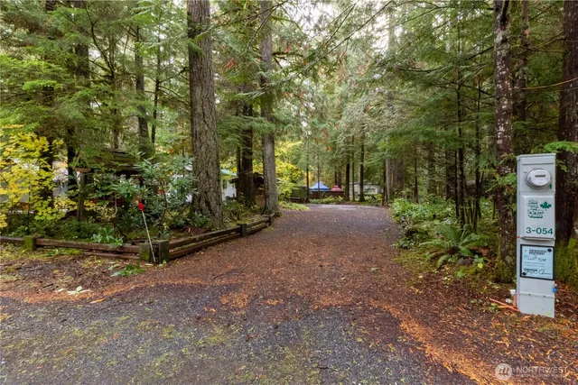 a view of a road with plants and trees