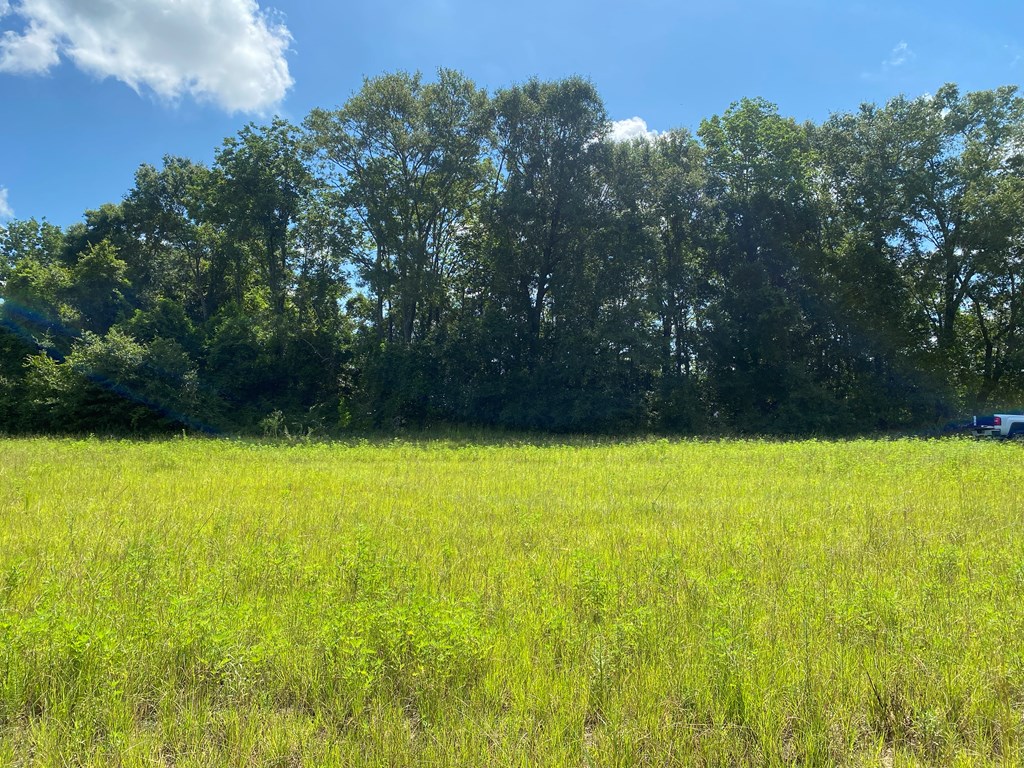 16-ac 16-ac National Road Dothan, AL 36301 - Photo 25 of 45